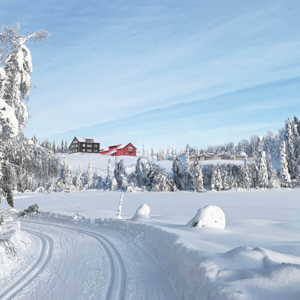 Trantjern gård om vinteren, med skispor. Ingenia var rådgivende ingeniør for vann og avløp og bygningsfysikk